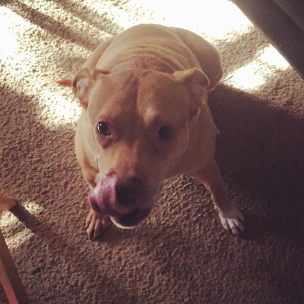 Meet your Posher, ××¨××¡××